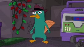 Perry the Platypus?