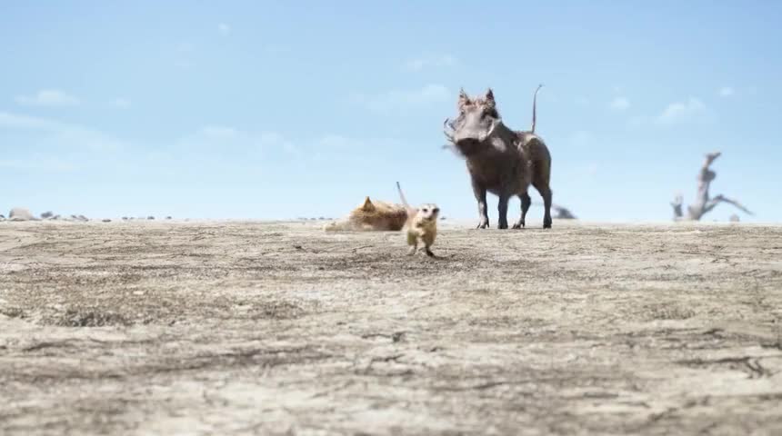- Run for your life, Pumbaa! - Wait! Hey, Timon.