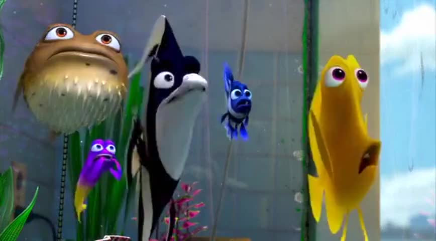 Yarn Sharkbait Not Again Finding Nemo Video Clips By