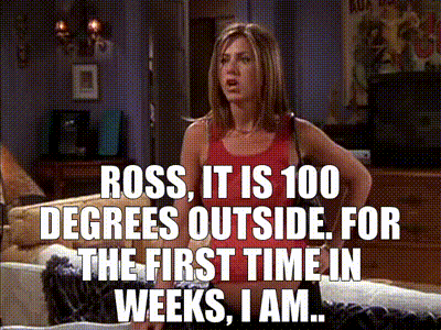 YARN, Ross, it is one HUNDRED degrees outside, Friends (1994) - S08E22  The One Where Rachel is Late, Video gifs by quotes, 48edf0d4