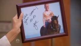 Joe Biden on a horse shirtless.