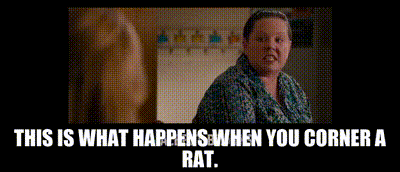 YARN | This is what happens when you corner a rat. | This Is 40 | Video gifs  by quotes | 8212ad23 | 紗