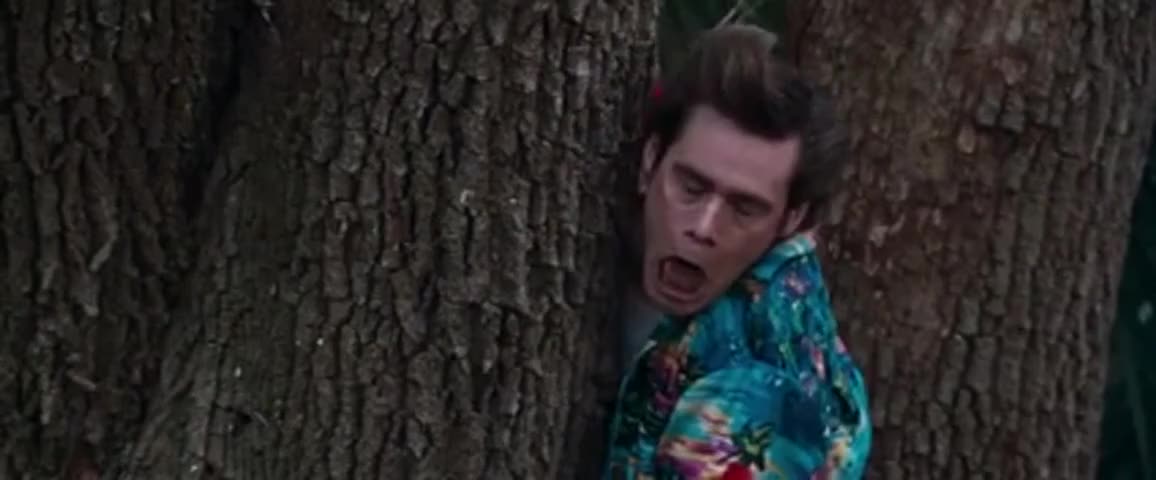 Quiz for What line is next for "Ace Ventura: When Nature Calls "? screenshot
