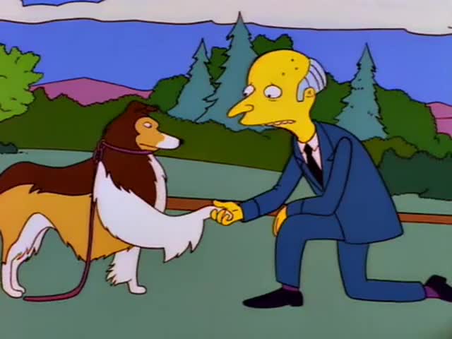Smithers, I believe this dog was in Skull and Bones.