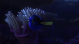 Quiz for What line is next for "Finding Dory "?