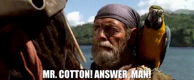 YARN | Mr. Cotton! Answer, man! | Pirates of the Caribbean: The Curse of the Black Pearl (2003) | Video gifs by quotes | 85d2f333 | 紗