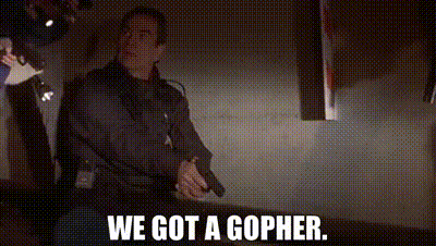 YARN | We got a gopher. | The Fugitive (1993) Drama | Video clips by quotes  | 865675c4 | 紗