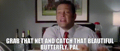 YARN | Grab that net and catch that beautiful butterfly, pal. | Wedding  Crashers (2005) | Video gifs by quotes | 8767d15f | 紗