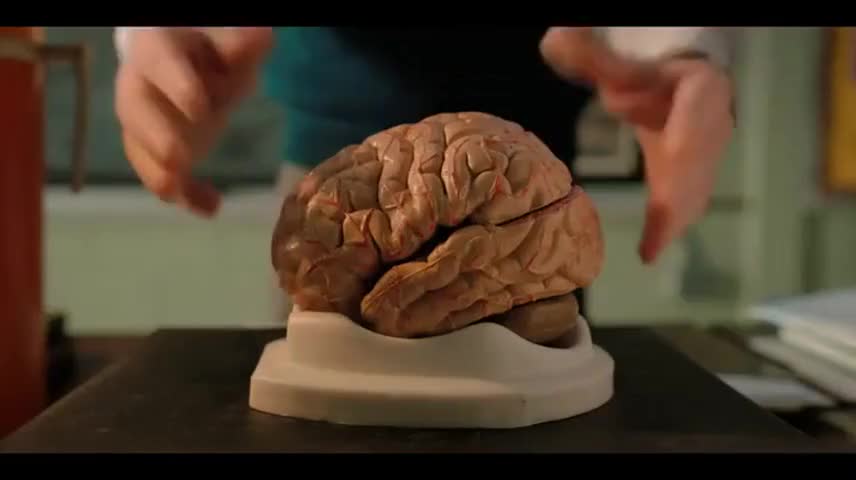 YARN | Meet the human brain. | Stranger Things (2016) S02E01 Chapter ...