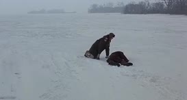 Quiz for What line is next for "Fargo "?