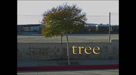 [person] T-R-E-E, tree.