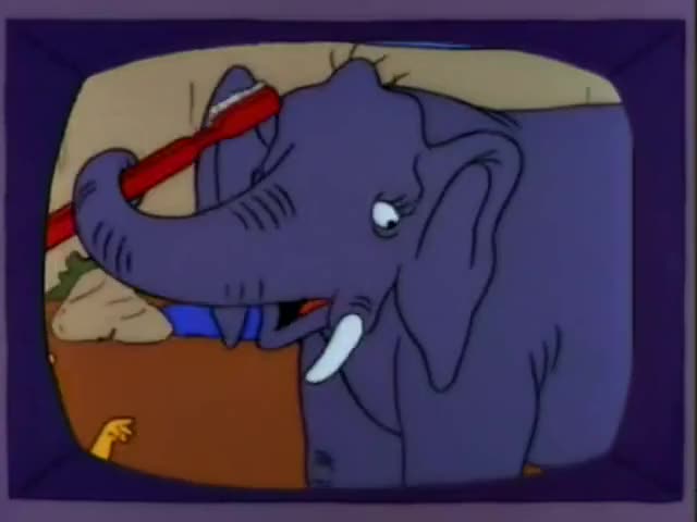 Coming up next: An elephant who never forgets...