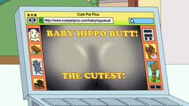 That's not a hippo's butt.