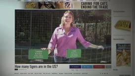 Clip thumbnail for 'Hi, I'm Carole Baskin and I'm the founder and CEO of Big Cat Rescue.