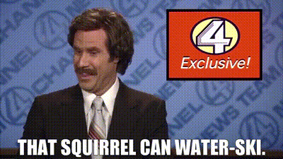 That squirrel can water-ski.