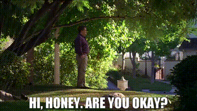 YARN | - Hi, honey. - Are you okay? | Dollhouse (2009) - S01E07 Man on the  Street | Video gifs by quotes | 97b03467 | 紗