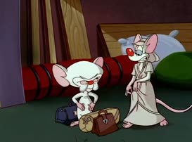 Quiz for What line is next for "Pinky and the Brain "?