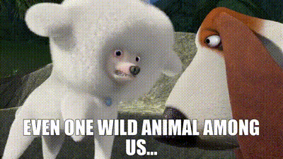 YARN | Even one wild animal among us... | Open Season 2 | Video clips by  quotes | a2e1d6dc | 紗