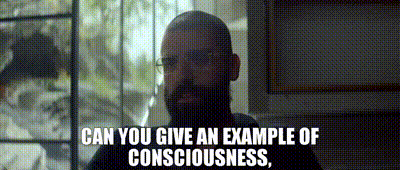 Can you give an example of consciousness,
