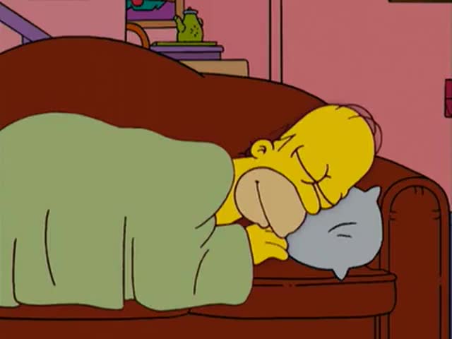 YARN Homer, I woke to find an owl The Simpsons (1989) - S16E16 Comedy Video...