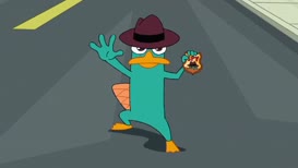 Perry the Platypus!