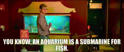 You know, an aquarium is a submarine for fish.