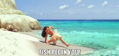 YARN | Fish pee in you! | Moana (2016) | Video gifs by quotes | acccaced | 紗