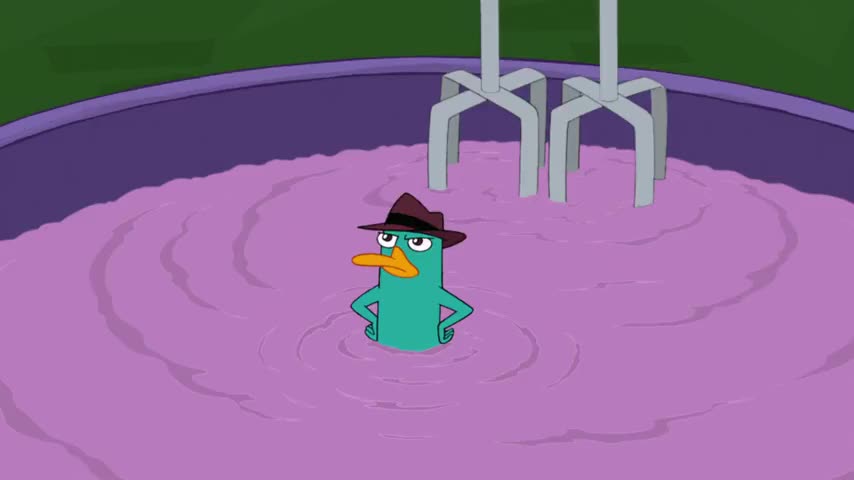 Quiz for What line is next for "Phineas and Ferb "? screenshot