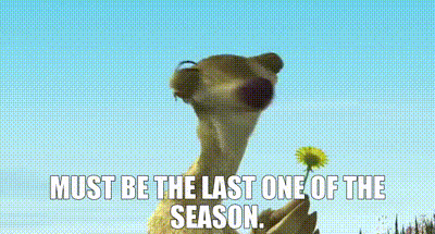 YARN | Must be the last one of the season. | Ice Age (2002) | Video clips  by quotes | b2f74740 | 紗