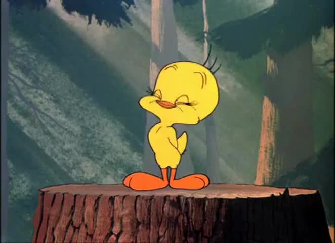 - I never saw a tweety bird. - This'll add to my collection.