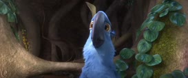 Quiz for What line is next for "Rio 2 "?