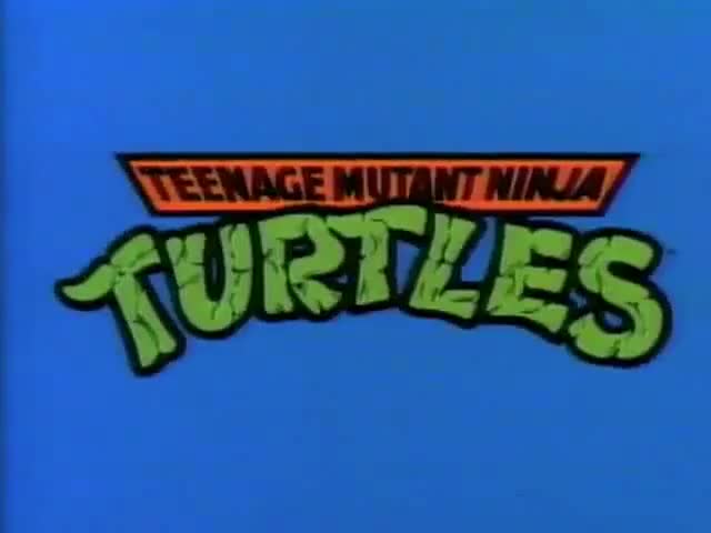 ♪ Turtle power ♪