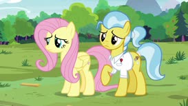 Oh, I'm so sorry, Fluttershy.