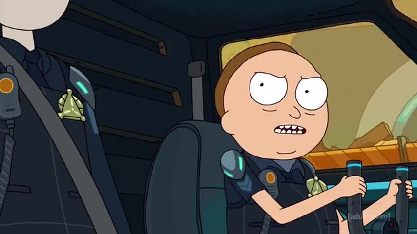 Quiz for What line is next for "Rick and Morty - S03E07 Ricklantis Mixup"? screenshot