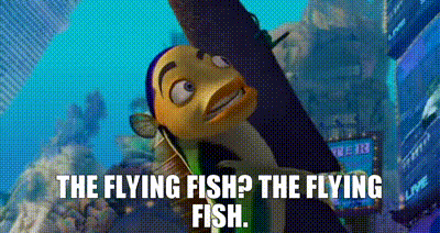 YARN, - The flying fish? - The flying fish., Shark Tale