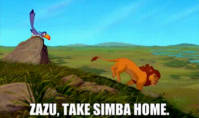 YARN | Zazu, take Simba home. | The Lion King (1994) | Video gifs by quotes  | c21bcaa4 | 紗