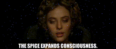 A GIF of Virginia Madsen from the 1984 movie "Dune" fading from view above the caption, "The spice expands consciousness."