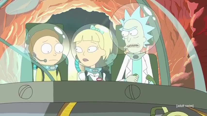 God damn it, Morty. I ask you to do one thing!