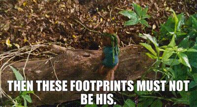 YARN | Then these footprints must not be his. | Alvin and the Chipmunks:  Chipwrecked | Video gifs by quotes | ccc8986e | 紗