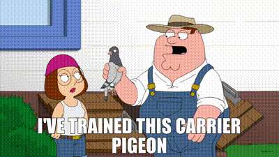 YARN | I've trained this carrier pigeon | Family Guy (1999) - S11E20 Comedy  | Video clips by quotes | cd2780d3 | 紗