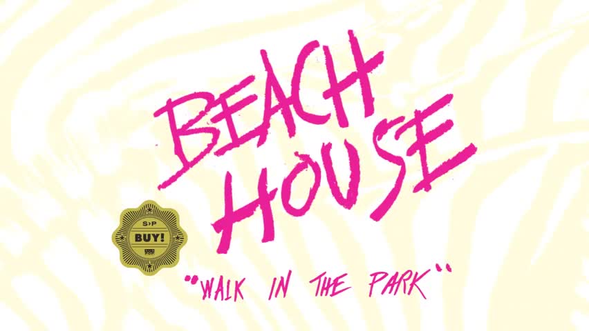 Quiz for What line is next for "Beach House - Walk in the Park"? screenshot