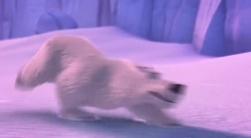 Oh, no. A polar bear!