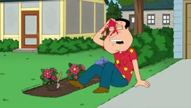 oh my god Quagmire you  all right