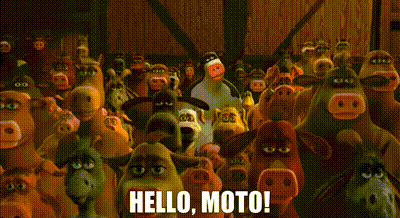 YARN, Hello, Moto!, Barnyard, Video clips by quotes, d6825d21