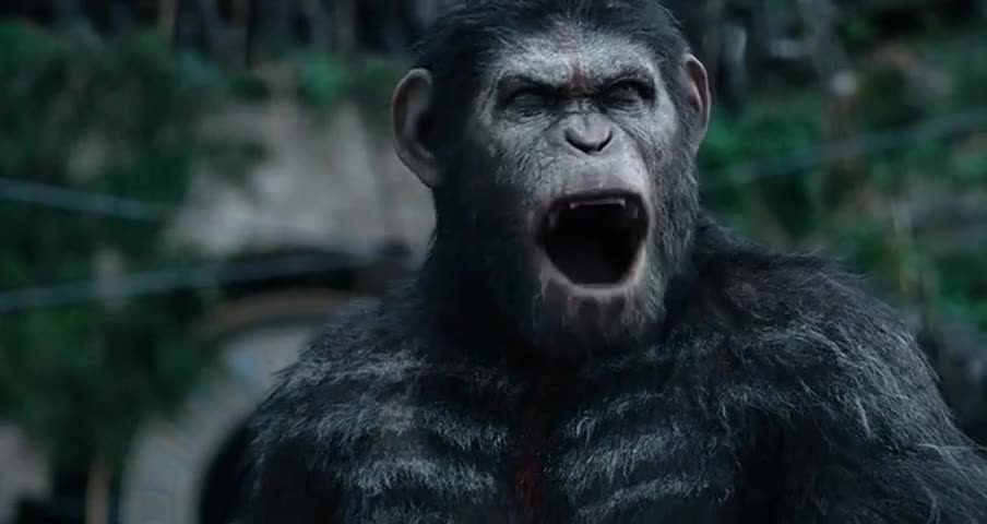 Apes...