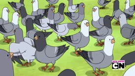 Clip thumbnail for '[ PIGEONS COOING ]
