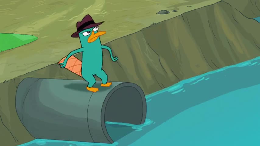 Perry the Platypus?