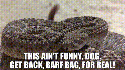 YARN | This ain't funny, dog. Get back, barf bag, for real! | Holes | Video  gifs by quotes | e3991135 | 紗
