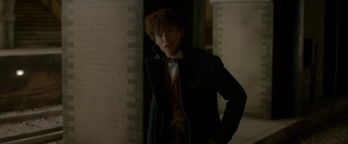 Quiz for What line is next for "Fantastic Beasts and Where to Find Them "? screenshot