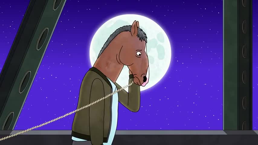There's nothing I can do, BoJack. I'm not real. None of this is.
